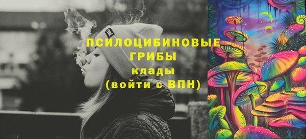 хмурый Балабаново