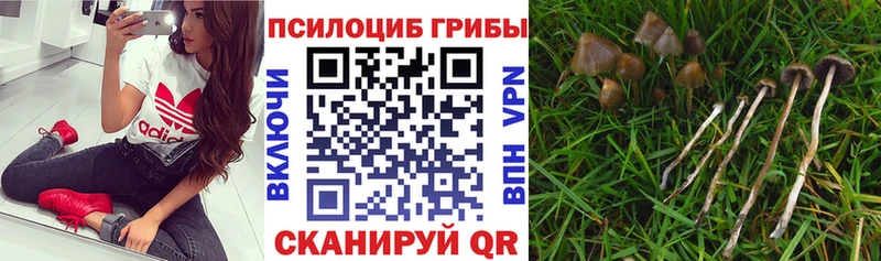 Псилоцибиновые грибы MAGIC MUSHROOMS  Каменка 